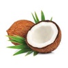 Coconout