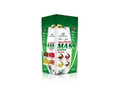 POWERTECH MassTech Mass Gainer 6000 Gr Mix