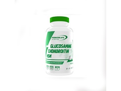 Powerlife Glucosamine Chondroitin Msm 90 Tablet