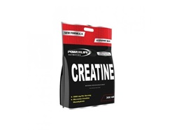 PowerLife Creatine 300 Gr Poşet