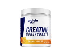 Protein Ocean Creatine Mono. Portakal Mango 300 Gr
