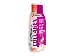 Powertech Vitam-X Collagen 1 Adet