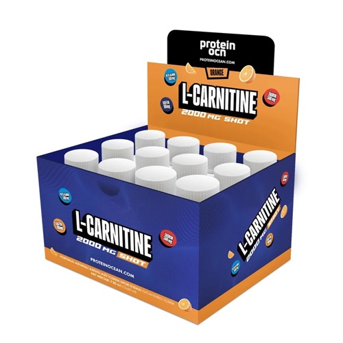Protein Ocean L-Carnitine 2000 Mg Portakal 12 Shot
