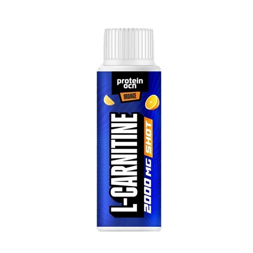 Protein Ocean L-Carnitine 2000 Mg Portakal 1 Shot