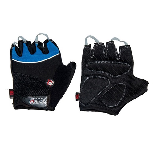 Dragon Eldiven Body20